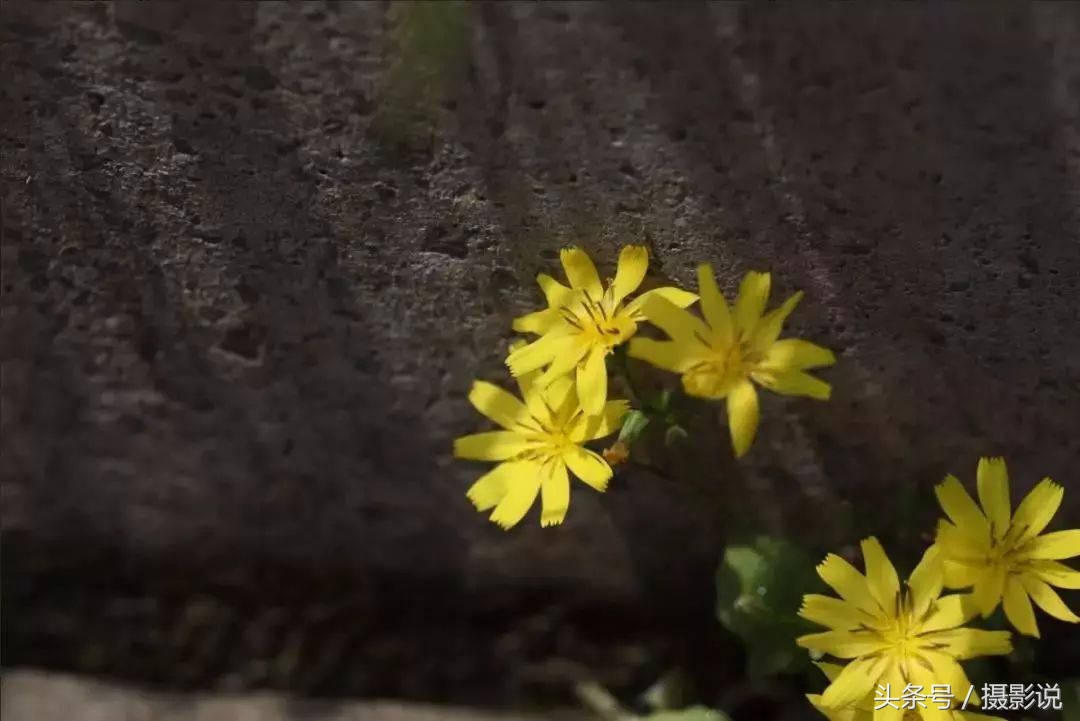 nisi近摄镜使用方法视频,nisi耐司滤镜