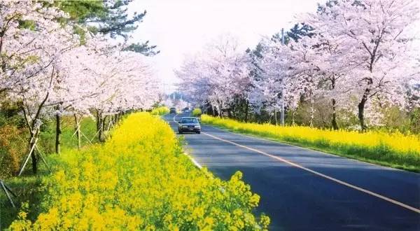 旅行济州岛,济州岛旅游自由行推荐
