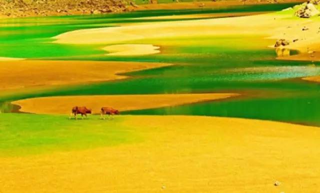 头条|再有人说广西没有秋天，就把这条微信甩给TA看！