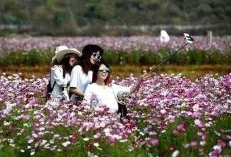 头条|再有人说广西没有秋天，就把这条微信甩给TA看！