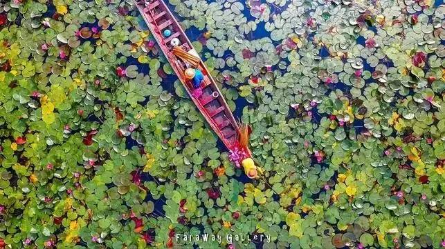 和赛车赛跑,和赛车相似的跑车