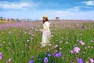 头条|再有人说广西没有秋天，就把这条微信甩给TA看！