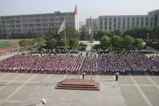 国际港务区最新学校,港务区目前最好的小学