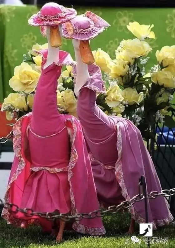 长春热企提前开栓供热,长春热企最新动态