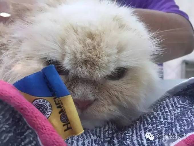 读者来稿彻底改变人生,读者来稿免费领取