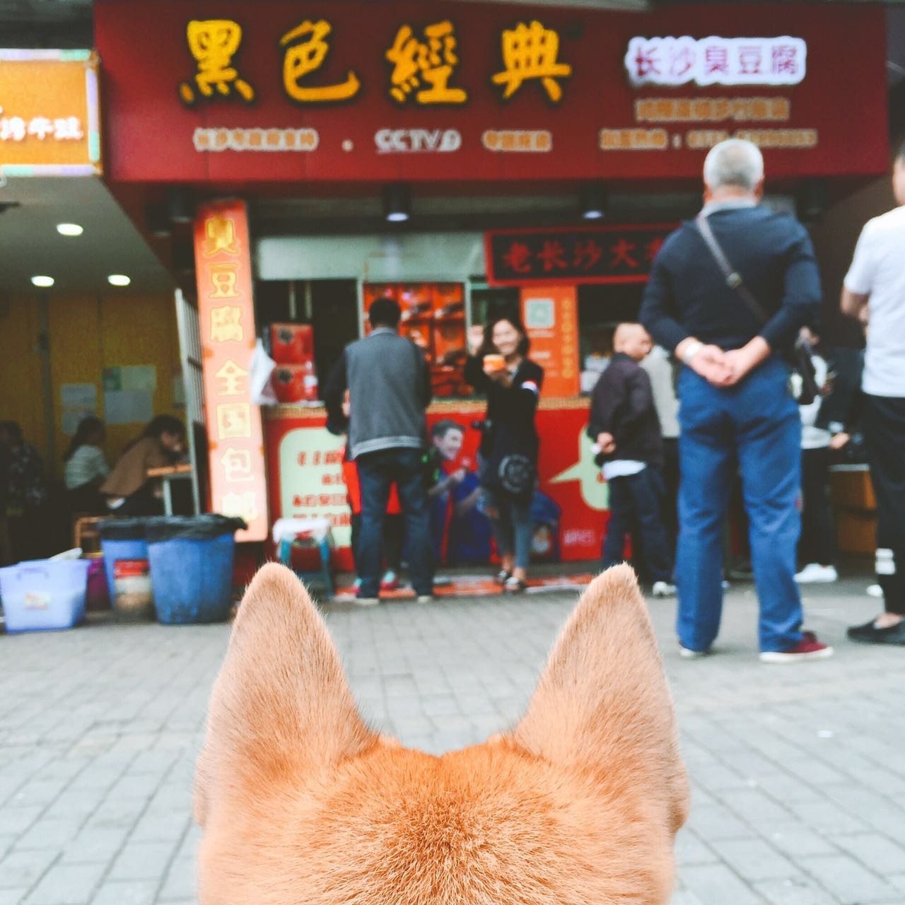 如果我来到你的城市你会欢迎我吗,当你去美食一条街你会吃啥