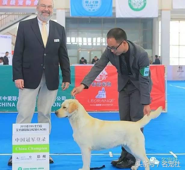 优基10kg中型犬粮,优基小型犬全价幼犬粮