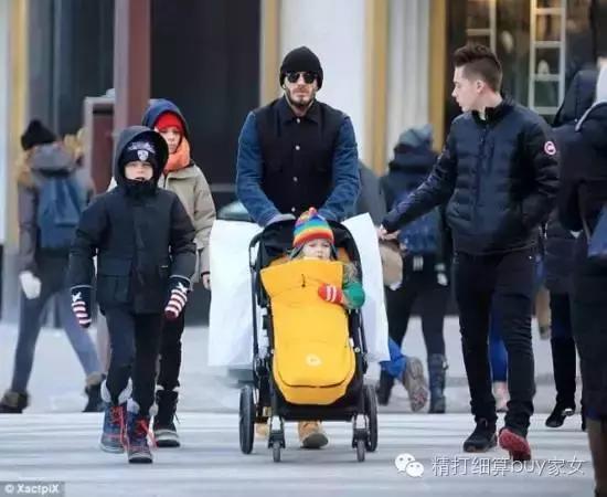 婴儿推车品牌bugaboo,bugaboo童车