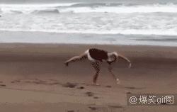 妹子这口气，吹得忒大