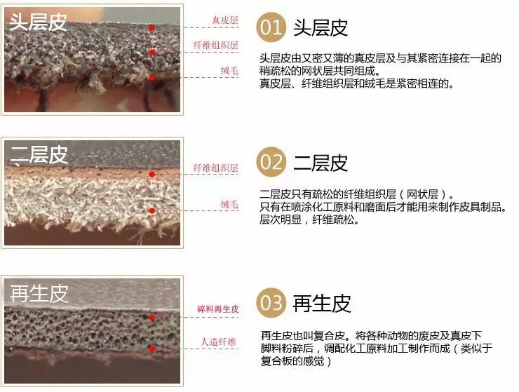 认识和识别质量问题,认识真假物品