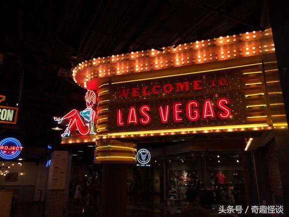 在美国旅游视频教学,美国自由行自驾游