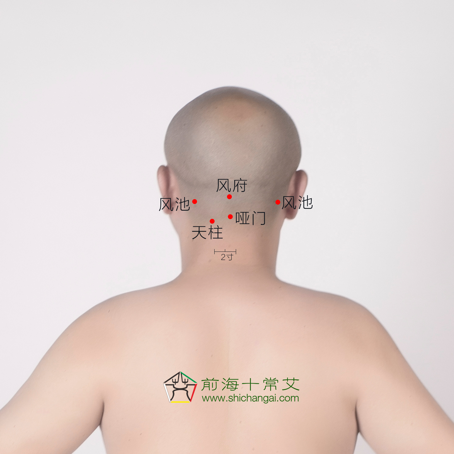 秋天防鼻炎的最佳方法,鼻炎灸艾灸灸什么部位