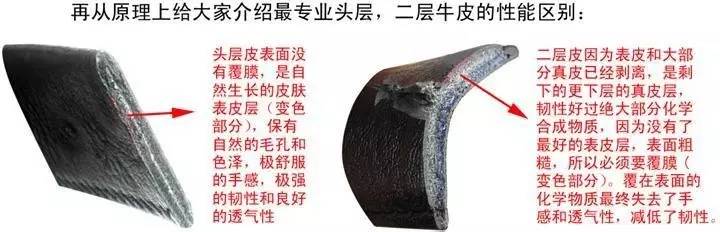 认识和识别质量问题,认识真假物品