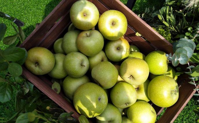 努比亚minis,努比亚z11minis的像素