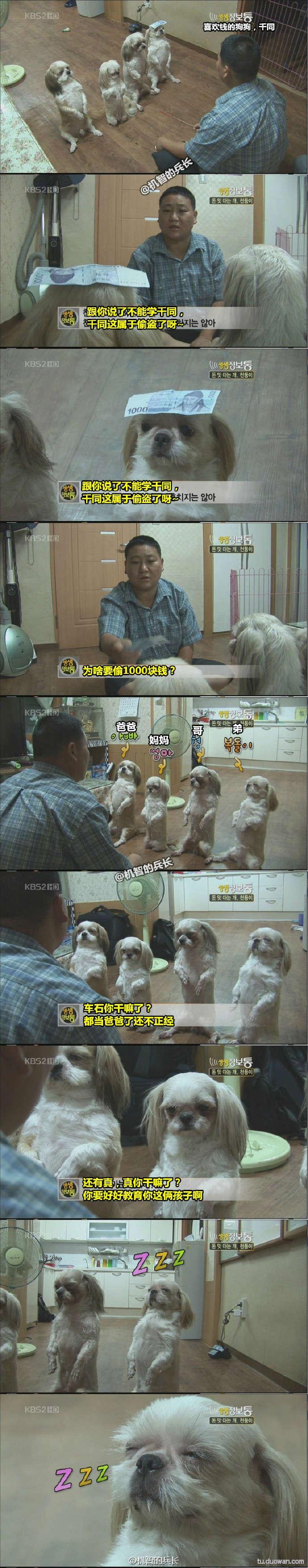 行尸走肉第一季到第十季存活的人,今日囧图最新更新