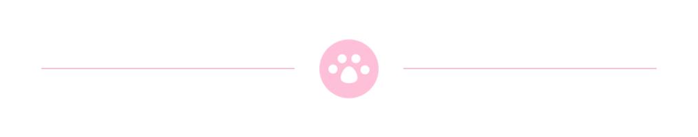 520元全套化妆品推荐干皮,300元油皮全套护肤品推荐平价