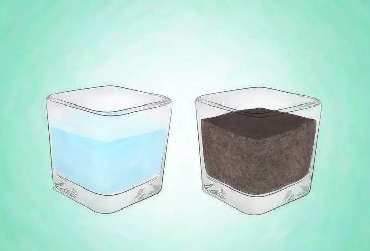 开运竹怎么养才能开花,富贵竹幸运竹怎么摆造型