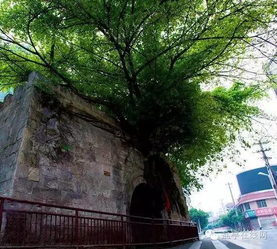 盐亭之所以叫盐亭,居然是因为