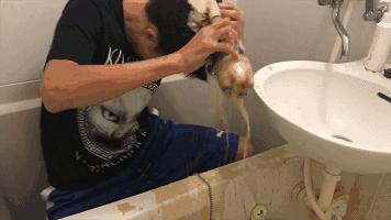 世界上的可乐有多少种,地球上有多少个饮料