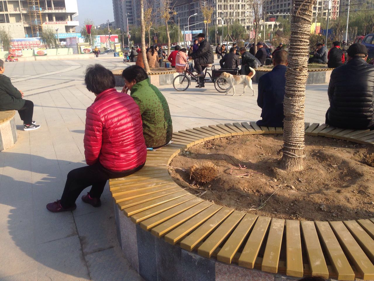 理工男跳啦啦操视频,啦啦操舞蹈视频理工男