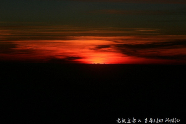 太平洋小小岛国帕劳貌似已被中国人全面占领