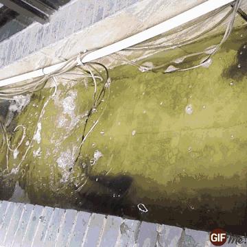 阴雨天喝碗鱼汤的说说心情,下雨天喝鱼汤好不好