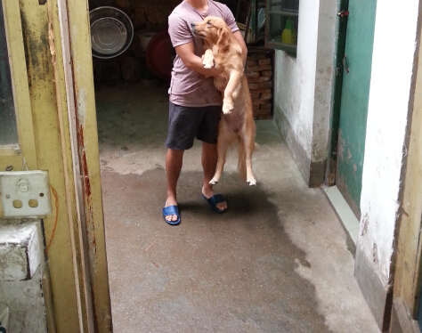 自从家里养了猫老鼠就全跑了,自从养了猫家里老鼠越来越多