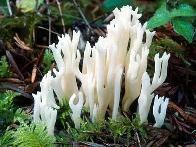 秋冬季，来场热辣之旅吧