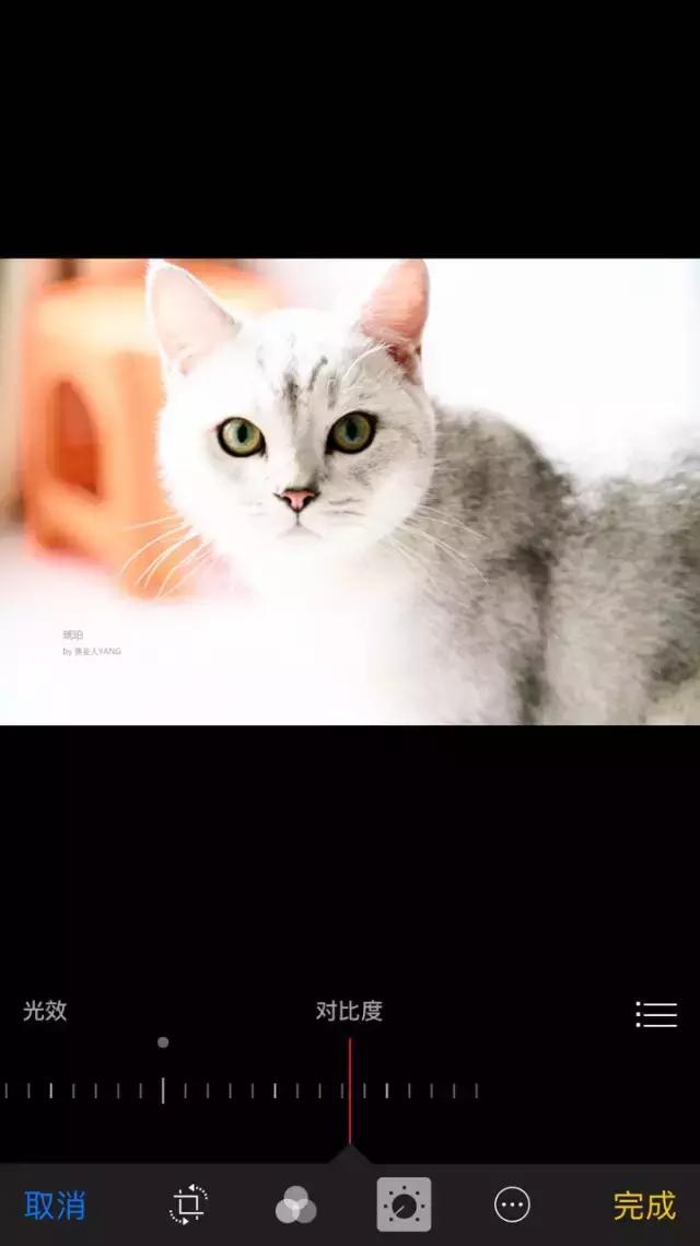 手机拍照技巧和构图方法讲解,手机拍照技巧之一基础构图技巧