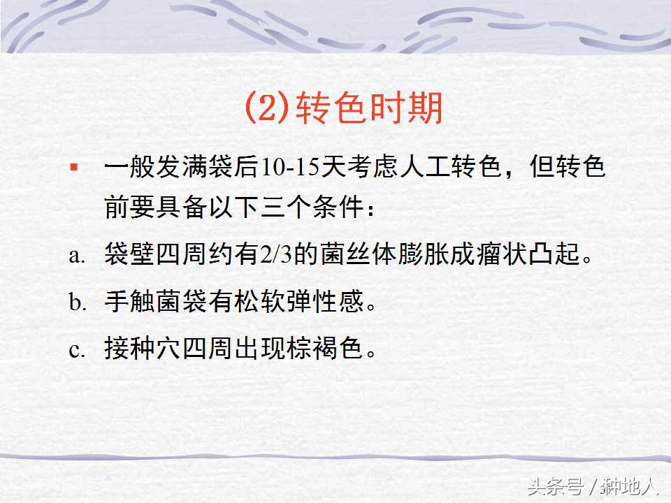 香菇栽培实用技术教案,屋顶香菇栽培