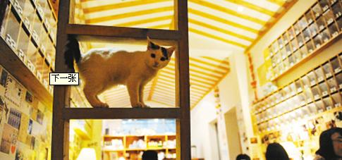 西安浪漫圣地,西安及周边情侣十大必去之地