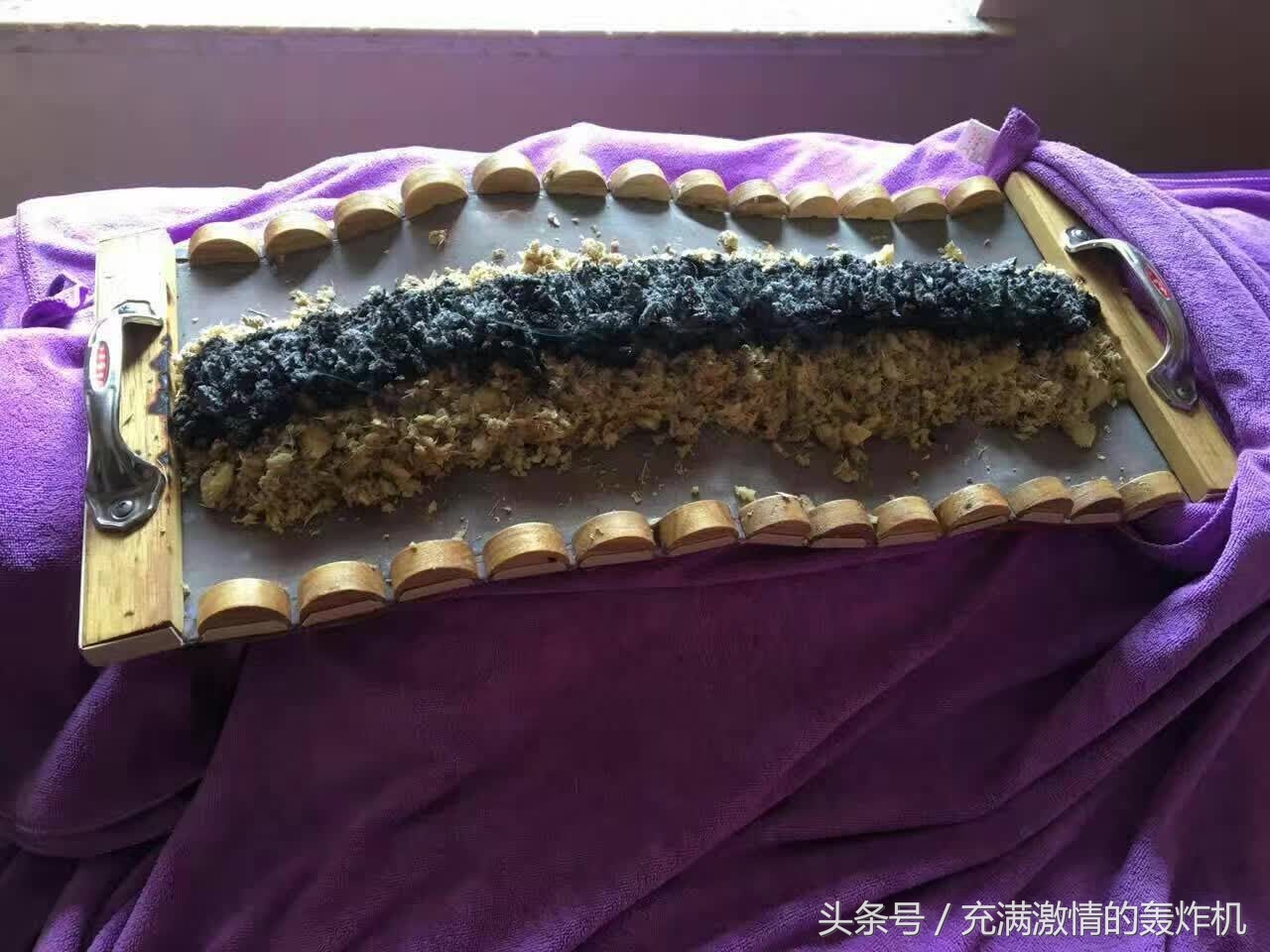 富贵竹与人的关系,富贵竹和普通竹子的区别