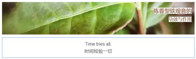 陈香型铁观音的功效口感,安溪陈年铁观音的功效与作用