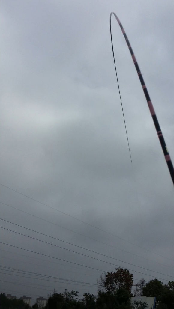 新手钓鱼，用2000的竿子，值不值？