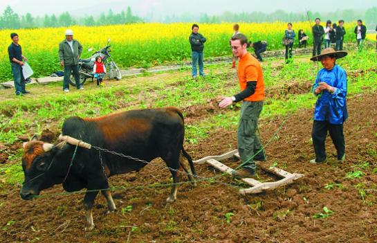 未来农业五大投资,哪位大神有投资经验