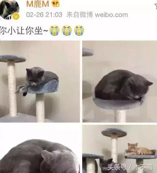 鹿晗对你心动的瞬间,鹿晗的对你爱不完