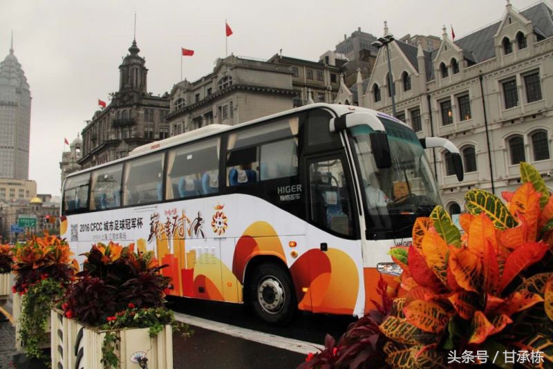 中国新歌声蒋敦豪总决赛投票,中国新歌声冠军蒋敦豪英文