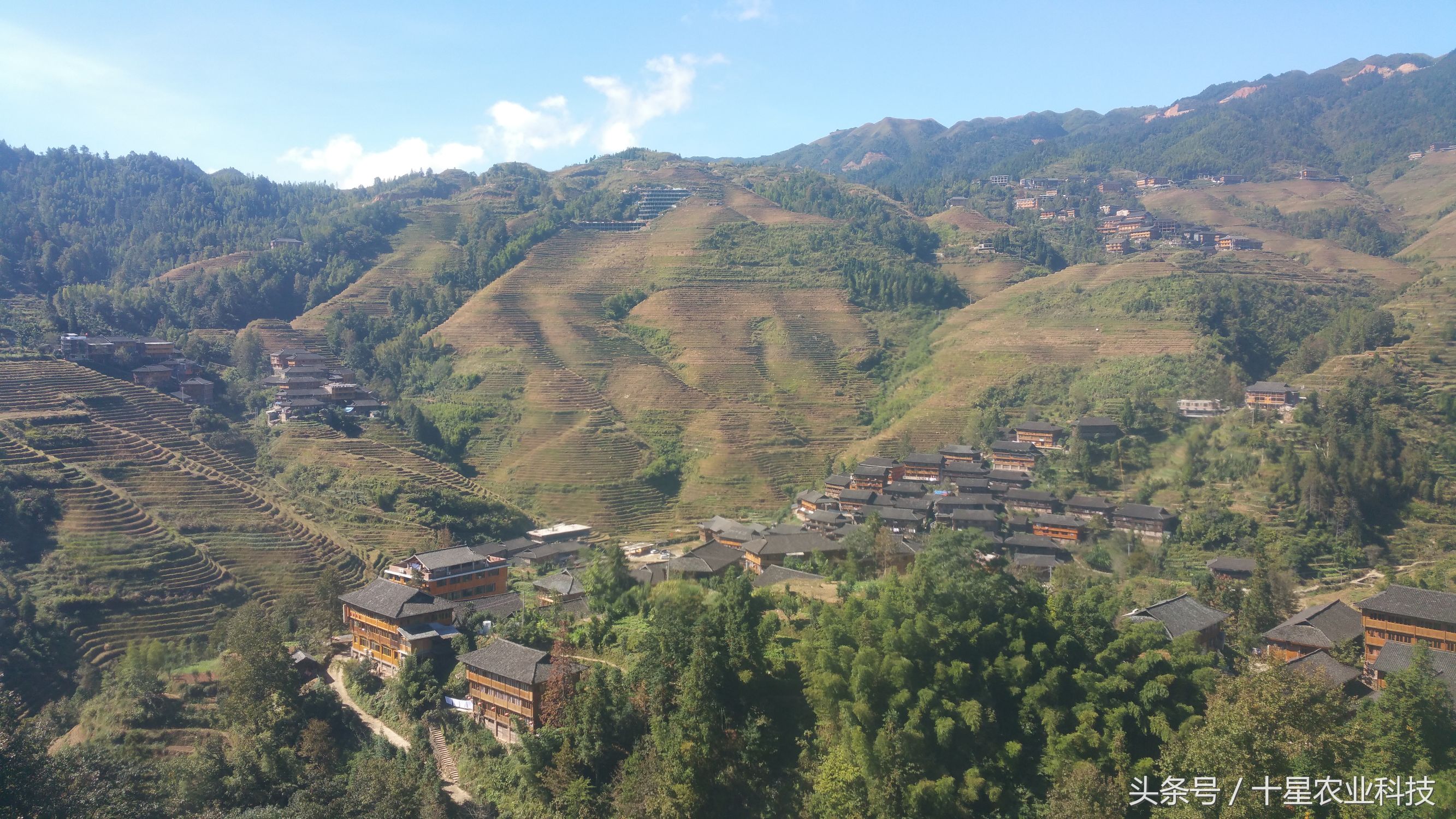 龙胜瑶族大寨龙脊梯田，原创拍摄几十图，有美女出镜哦！