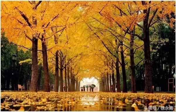 一条街一处景尽显烟火气,一条街古色古香