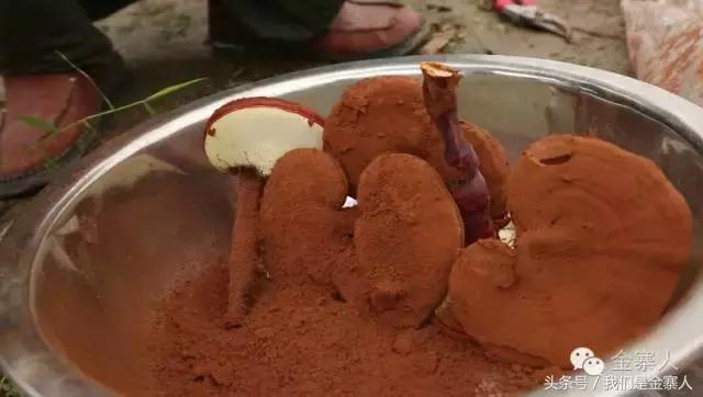 央视灵芝孢子粉价格,灵芝孢子粉央视辟谣