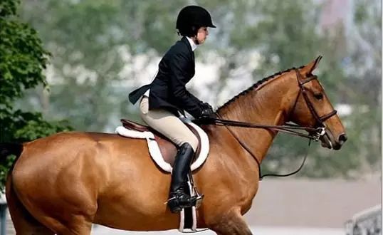 外伤致面部骨折怎么恢复,面部骨折注意事项大全