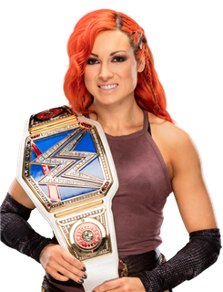 WWE:盘点WWE中的女将