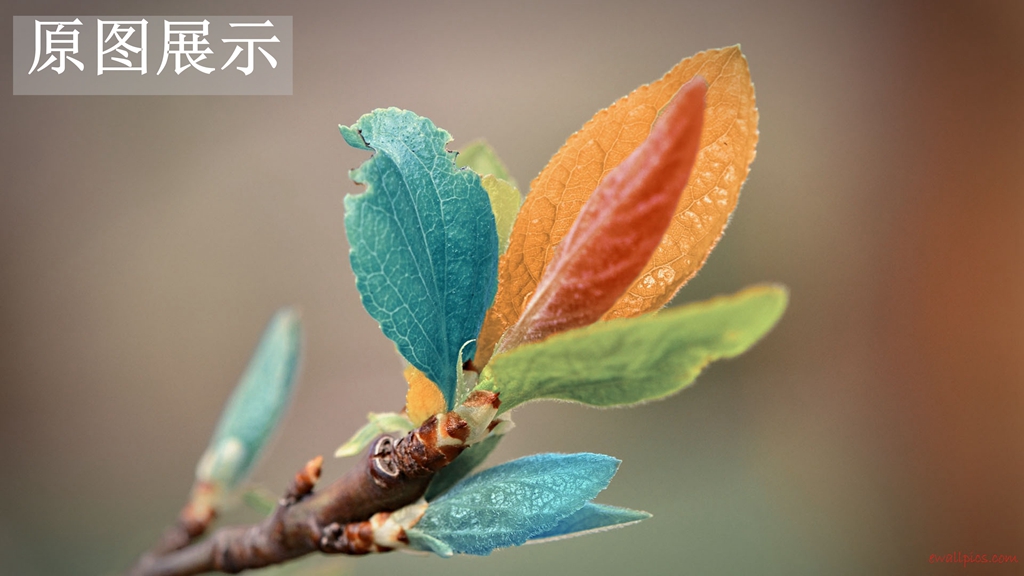 狭路相逢谁能赢,狭路相逢最后谁会技胜一筹