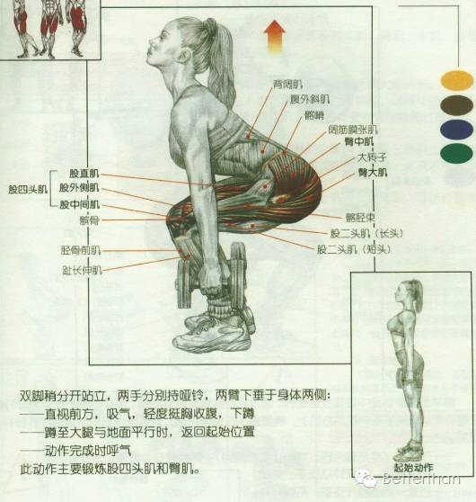 最全哑铃教学,手臂哑铃肌肉训练10个动作图解
