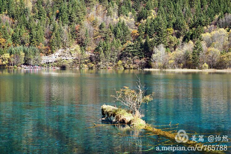 九寨沟让人失语的美丽童话世界,九寨沟有没有童话世界的景点