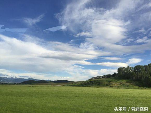 在美国旅游视频教学,美国自由行自驾游