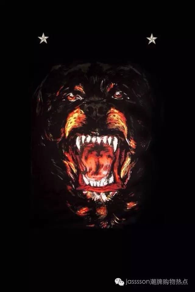 时尚界的动物元素,动物进化论