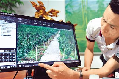 最近农业投资方向,农业投资方向及建议