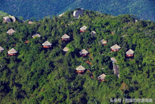 三亚三亚湾小海豚附近酒店,三亚鹿回头附近住宿
