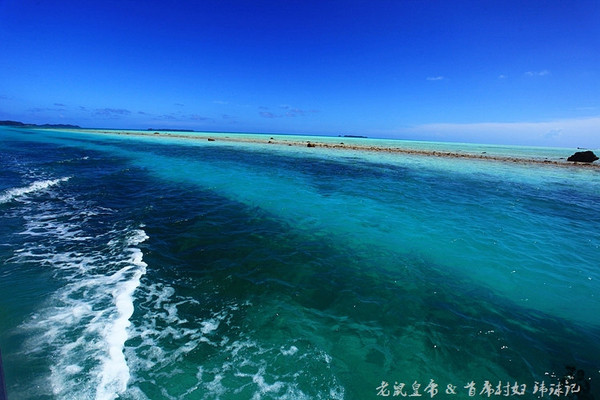 彩虹王国美术作品,彩虹王国紫色